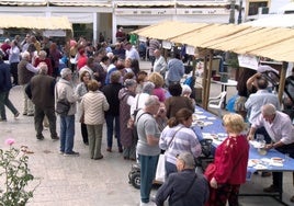 La plaga de mildiu afecta ya a las muestras de vino de la provincia de Huelva