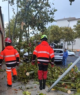 Imagen secundaria 2 - Bomberos retirando ramas y árboles dañados por el temporal en Isla Cristina