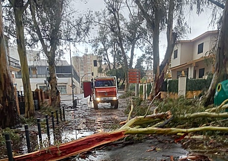 Imagen secundaria 1 - Bomberos retirando ramas y árboles dañados por el temporal en Isla Cristina