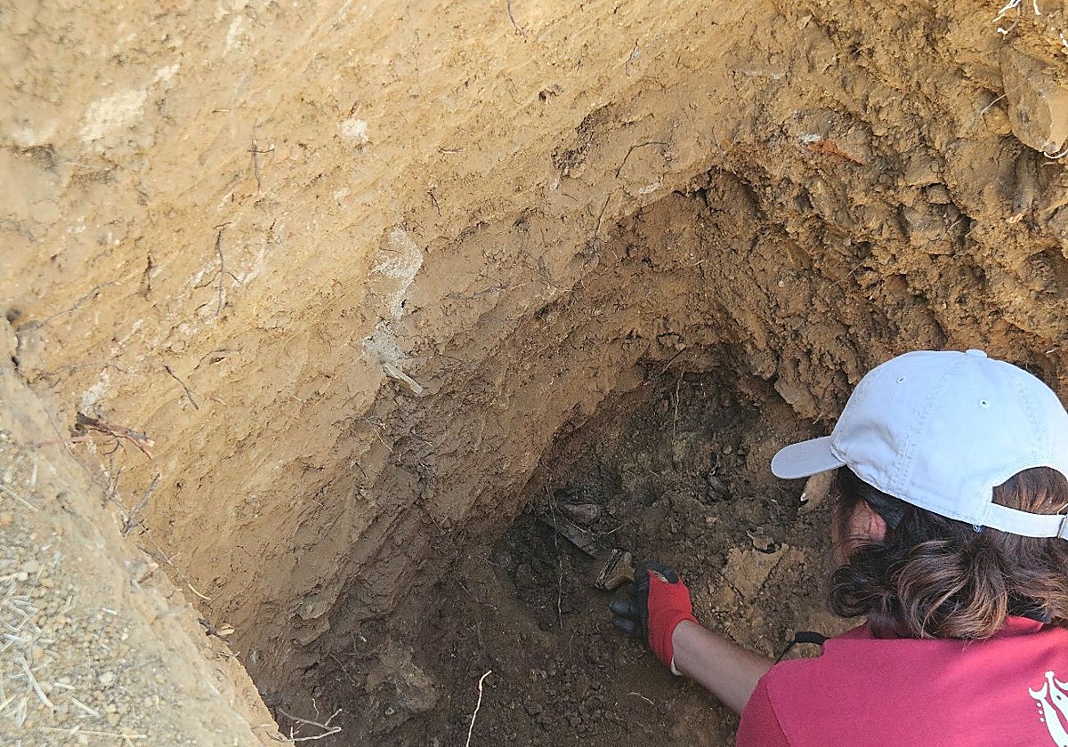Excavación llevada a cabo en una fosa común en el cementerio de Aracena