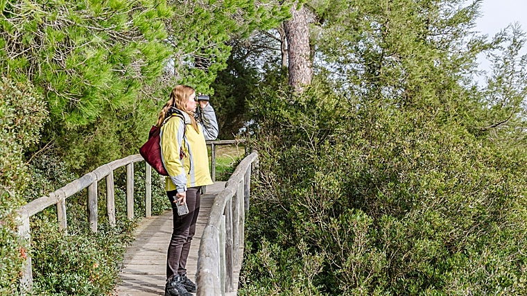 Senderismo en Huelva