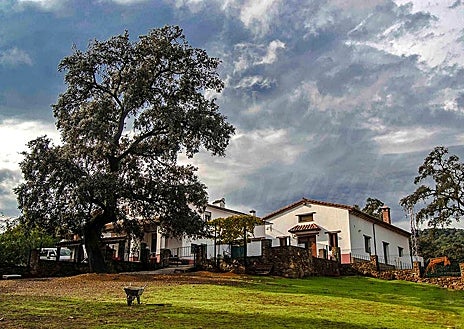 Imagen secundaria 1 - Cumbres Mayores, Finca Montefrío y la sede de la DOP Jabugo