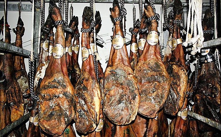 Imagen principal - Secadero de Jamones Eíriz y visita a la dehesa