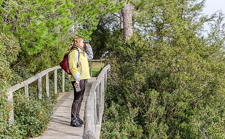 Imagen principal - Senderismo por la Sierra de Huelva