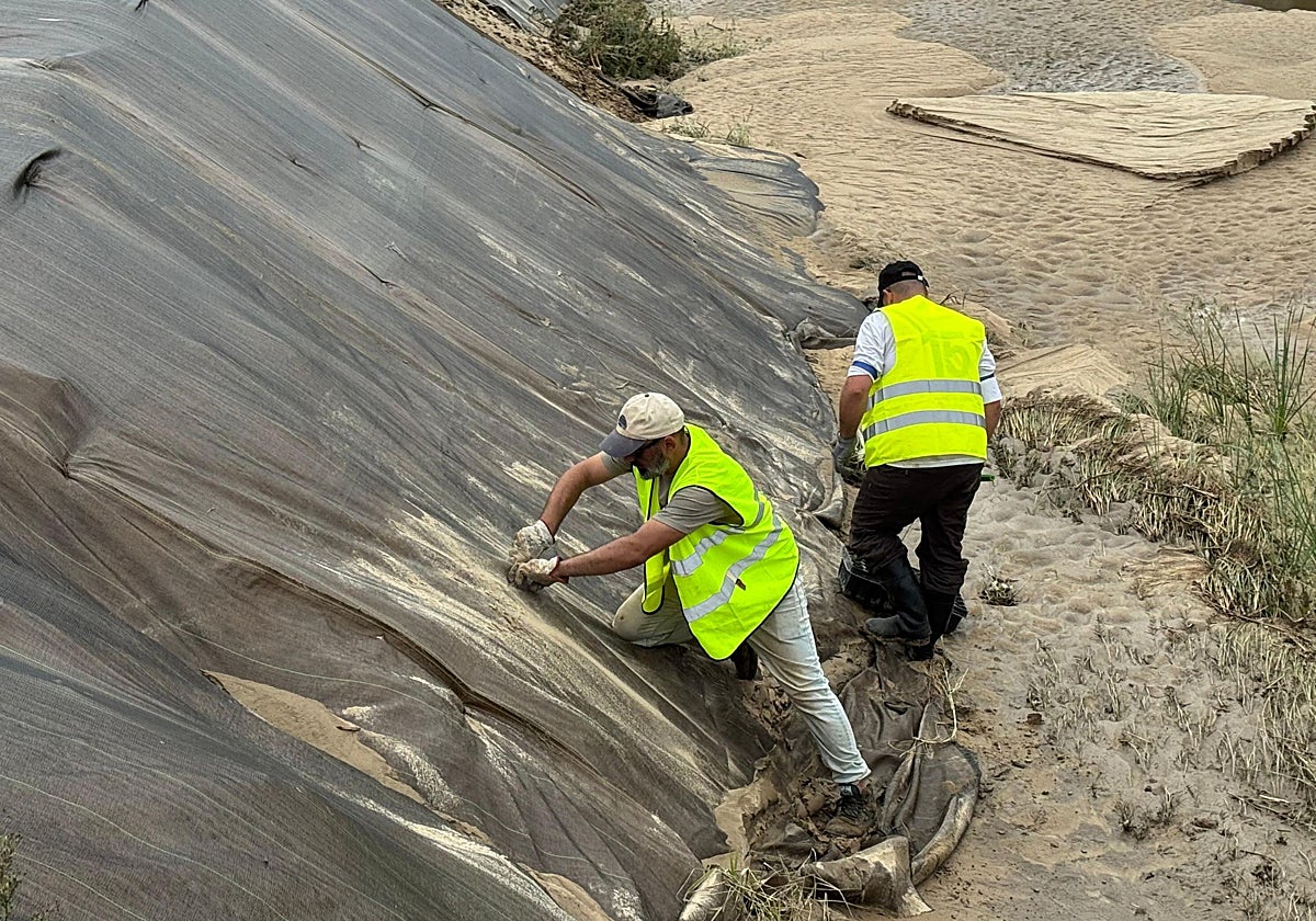 En primera instancia se están plantando árboles en la zona donde ya se eliminó la caña y se colocó la malla