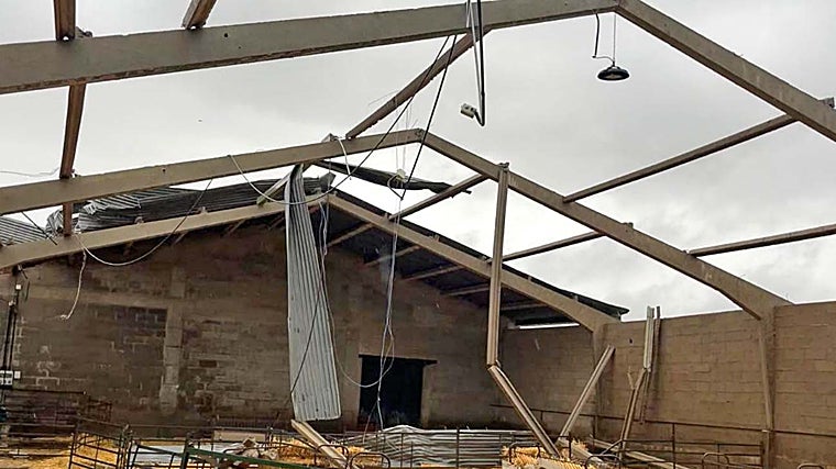 El tornado destrozó parte de las instalaciones del Huerto Ramírez de la Diputación