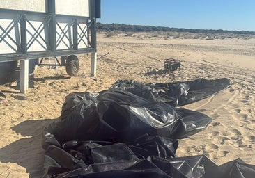 Sigue la 'sangría' de chiringuitos de Punta Umbría desmantelados por la falta de permisos: «¿Qué pasará mañana? No lo sabemos y esa incertidumbre es lo que más duele»