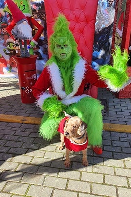 Daniel Nogales encarna en Corrales al simpático personaje navideño del Grinch
