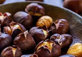 Desde el 7 al 10 de diciembre tendrá lugar una nueva edición de esta ya tradicional Feria de la Castaña