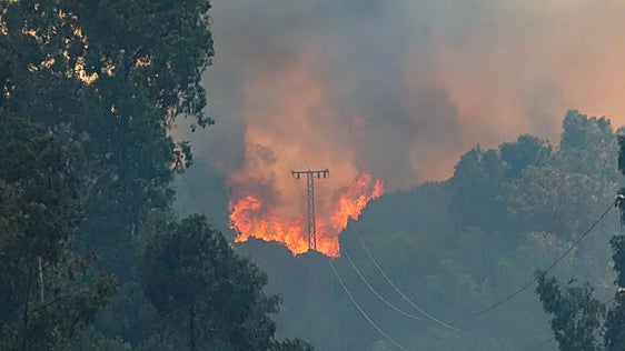 Lenguas de fuego sobre el Andévalo: El «serio aviso» que dejan las 5.000 hectáreas quemadas