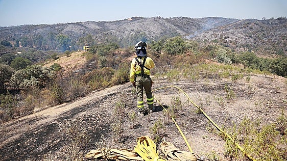 La Junta declara como «desastre natural» el incendio del Andévalo, que arrasó 6.300 hectáreas