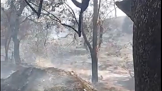 Extinguido el incendio de El Cerro de Andévalo tras cinco días de lucha contra el fuego