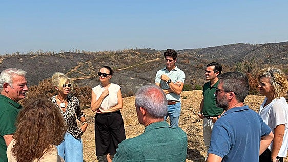 Asaja-Huelva reclama que las ayudas por zona afectada por los incendios del Andévalo se activen «sin demora»