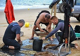 Mariscadores de coquinas comprobando sus capturas.