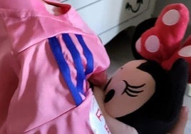 Se busca muñeca de Minni Mouse perdida en el Nuevo Colombino