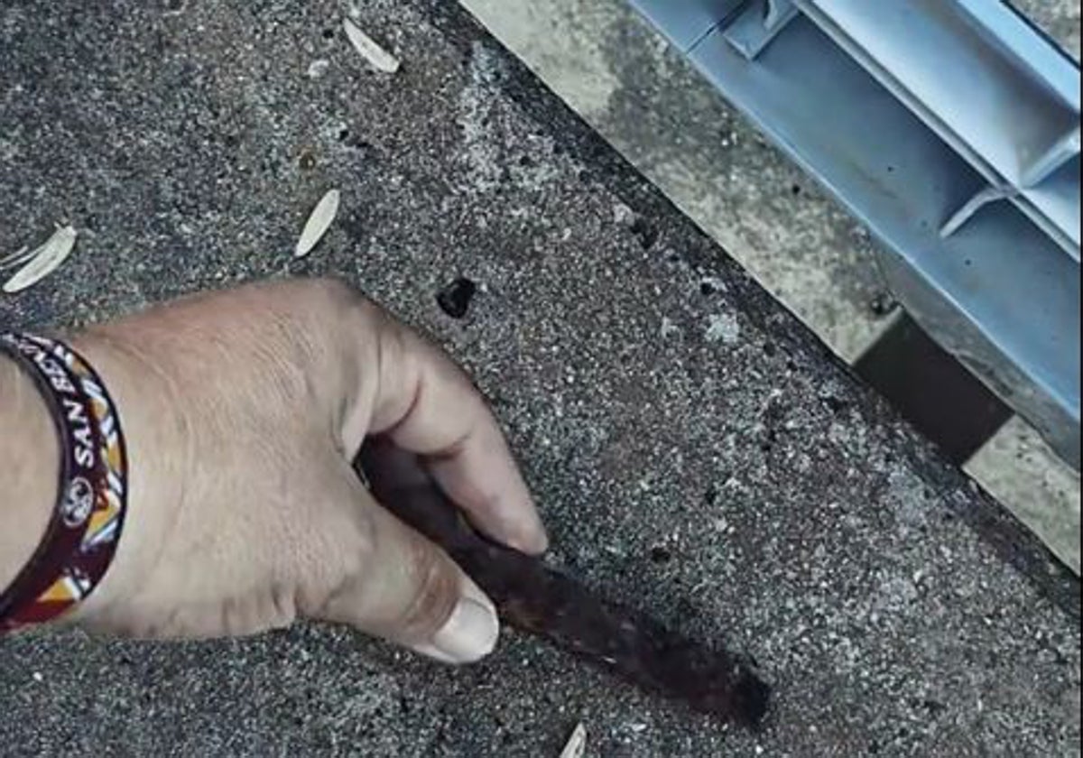 La barra de hierro que se encontró un aficionado debajo de su asiento en el Nuevo Colombino