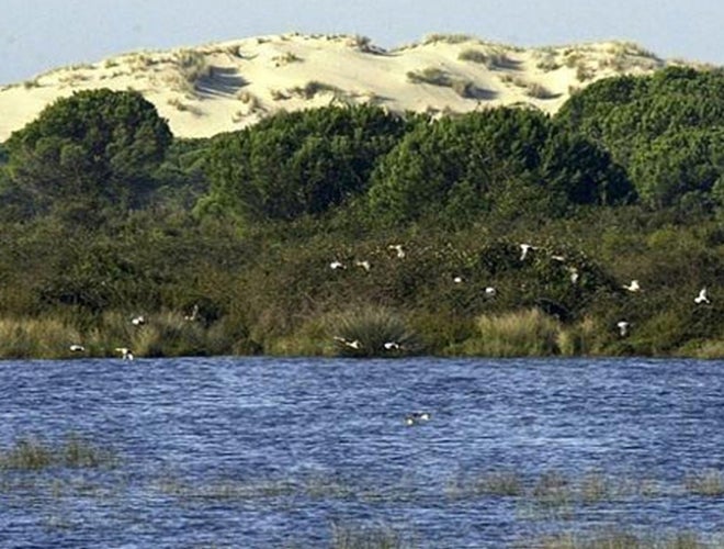 Imagen del parque natural de Doñana