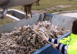 Toallitas rescatadas del proceso de depuración