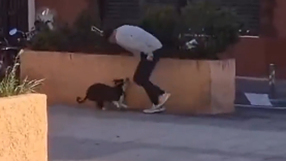 El runrún: Maltrato animal viral en Huelva