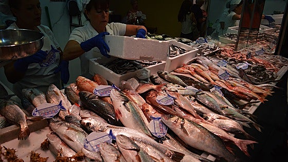 Un pescadero explica cómo congelar el pescado para Navidad sin poner en riesgo tu salud: «Sale chapó»