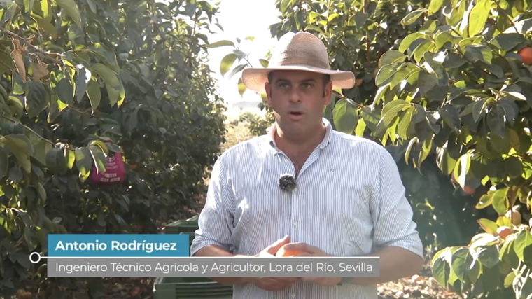 Antonio Rodríguez, ingeniero técnico agrícola y agricultor, en el programa 'Salud al día'