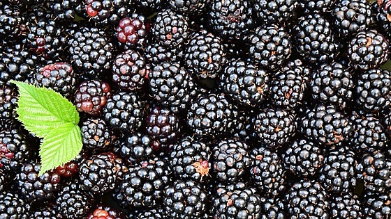 El alimento antiinflamatorio que retrasa el envejecimiento: «Es el mayor antioxidante que hay»