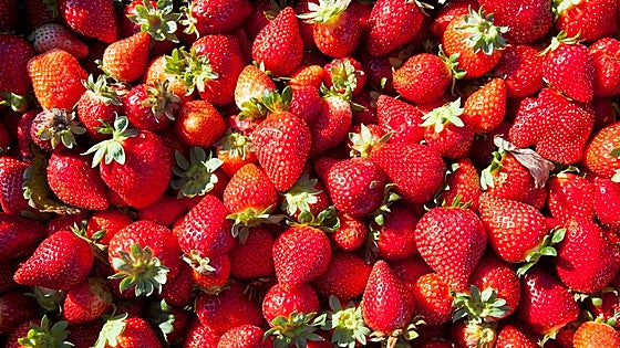 Los dicen los expertos: este es el producto de Huelva que te ayuda a reducir los dolores menstruales