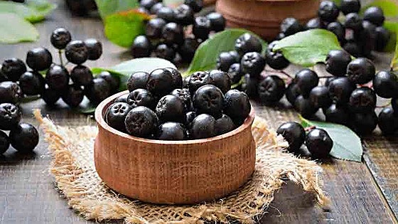 Qué es la Aronia negra, el desconocido fruto que retrasa el envejecimiento y ayuda a prevenir enfermedades neurodegenerativas