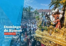 Así te hemos contado el Domingo de Ramos: la jornada sólo pudo celebrarse en el interior de los templos