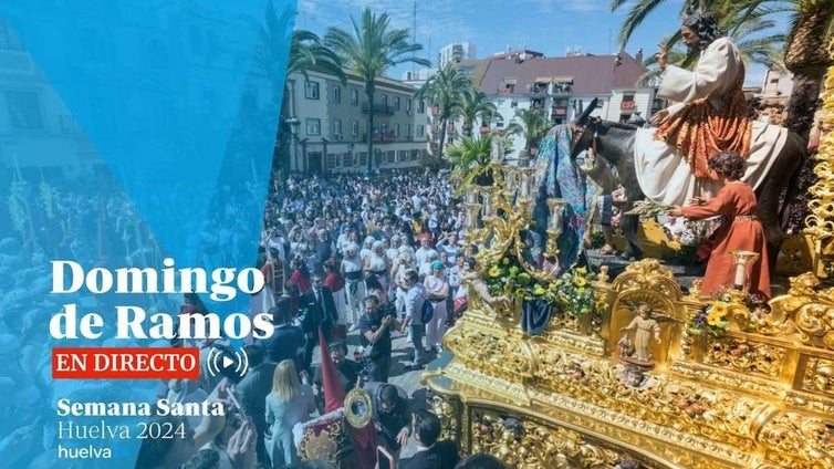 Así te hemos contado el Domingo de Ramos: la jornada sólo pudo celebrarse en el interior de los templos