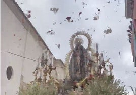 La increíble petalada que recibió la Virgen de los Remedios de Villarrasa en la Magna de Huelva