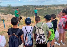 Más de 300 escolares aprenden de la mano de la Diputación  la responsabilidad de tener mascotas