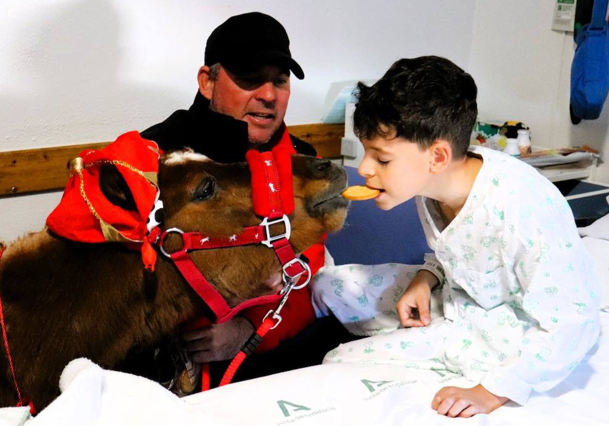Uno de los caballitos que ha visitado hoy la Unidad de Pediatría del Hospital Juan Ramón Jiménez