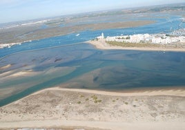 La sorpresa de un vecino de Isla Cristina al salir a pescar y encontrase este animal en el mar: «¿Pero qué haces ahí?»