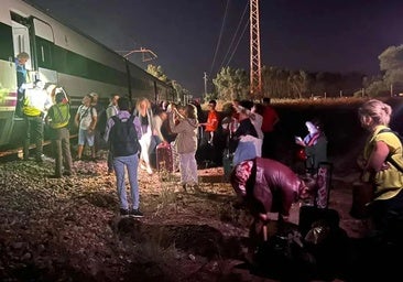 Los trenes de la vergüenza que sufre Huelva: retrasos y averías casi todos los meses