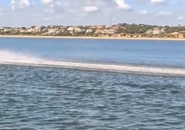 Un hombre estaba pescando en la ría de Huelva y alucinó con lo que vio: «¿Vosotros lo veis normal?»