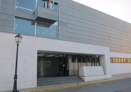 En libertad sin medidas cautelares el detenido por embestir con su coche a varios agentes en El Rocío