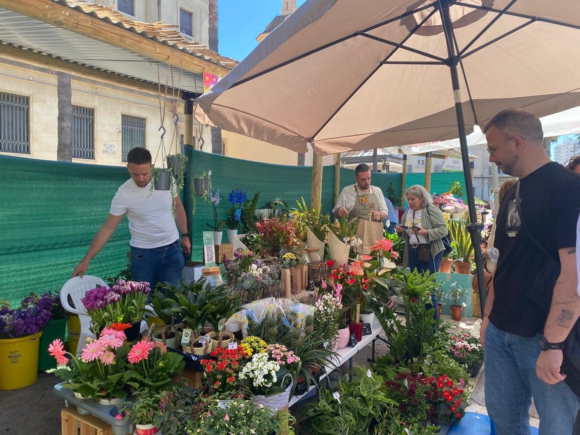 El gran &#039;Jardín de Huelva&#039;, en imágenes
