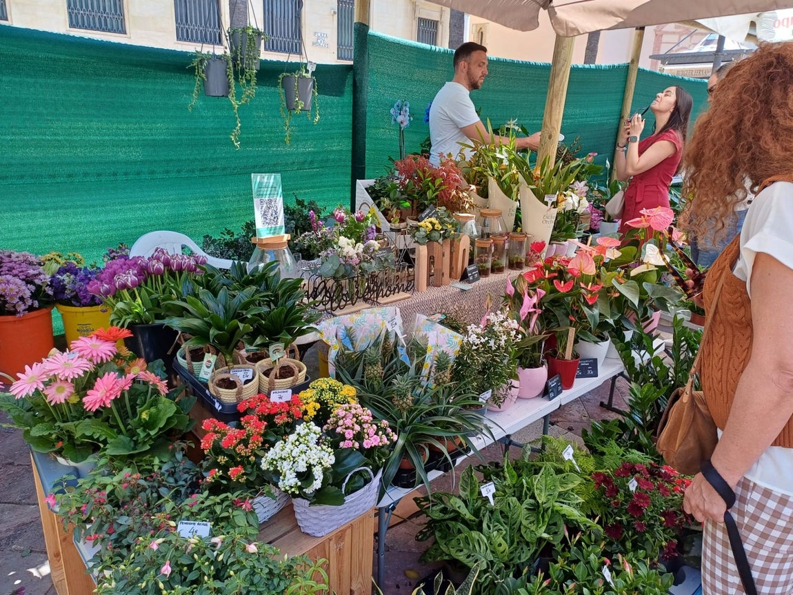 El gran &#039;Jardín de Huelva&#039;, en imágenes