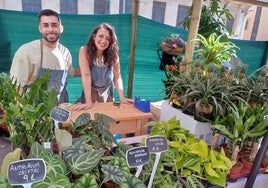 Los floristas piden más días para el gran 'Jardín de Huelva': «Se ha llegado a un punto en el que ya se puede hablar de que es un éxito»