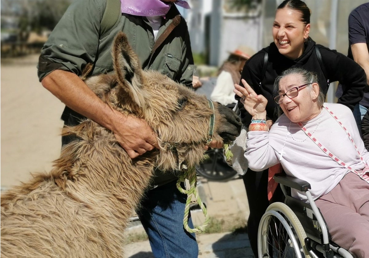 La burrita Leonor durante una de las terapias de ayuda