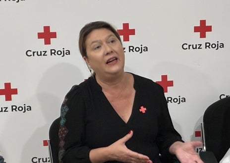 Imagen secundaria 1 - Cruz Roja atendió en Huelva a más de 29.000 personas en situación de vulnerabilidad en 2024