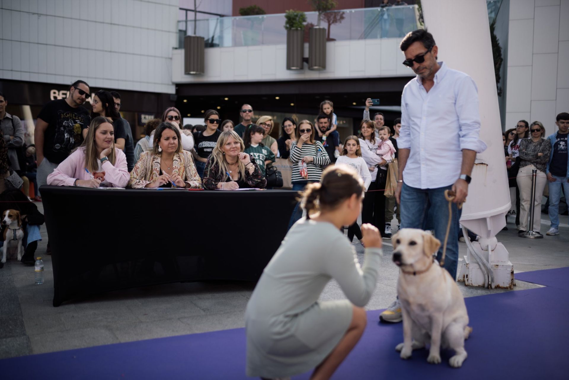 Estas son las mejores mascotas de Huelva