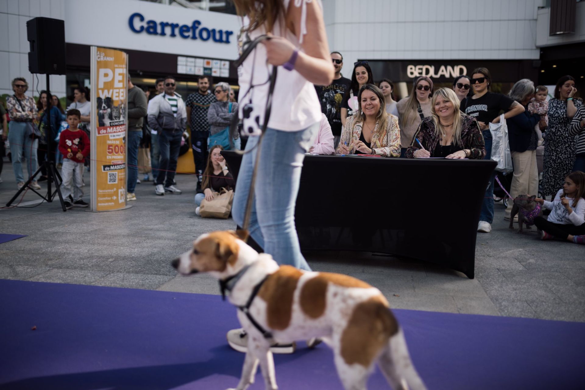 Estas son las mejores mascotas de Huelva