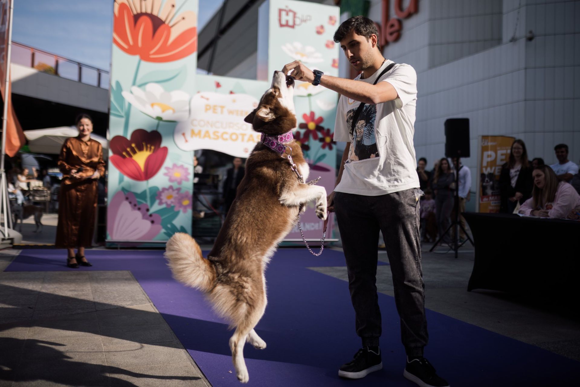 Estas son las mejores mascotas de Huelva