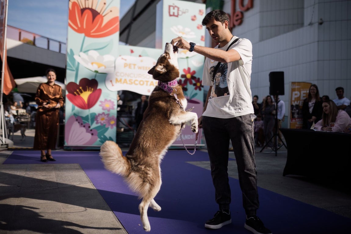 Estas son las mejores mascotas de Huelva