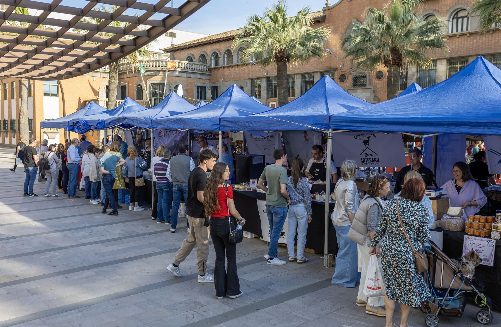 Las imágenes de los mejores quesos de España en la plaza 12 de octubre