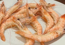 Andrea Calderón, nutricionista: «Las cabezas de las gambas y los langostinos pueden ser perjudiciales»