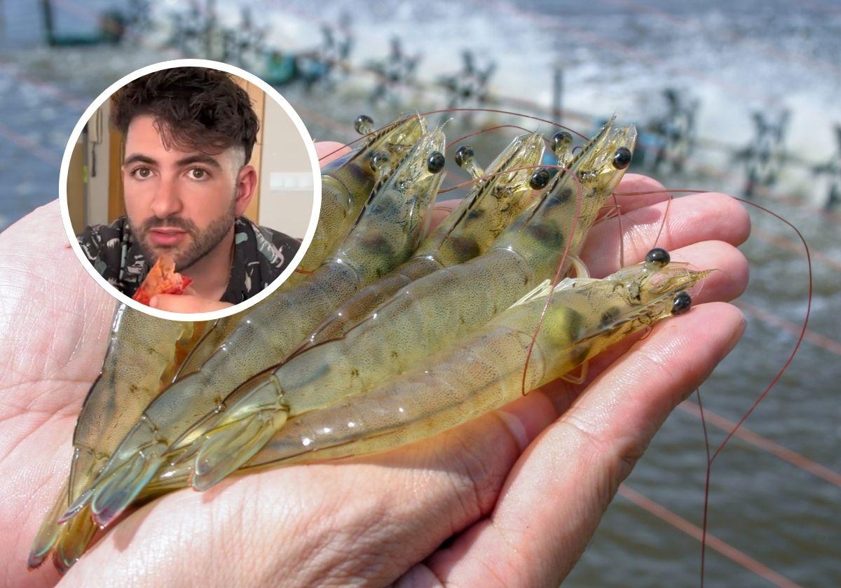 Un pescadero cuenta la verdad sobre las cáscaras de las gambas