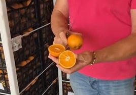 Un frutero de Cádiz afirma esto sobre las naranjas de Huelva: «El sabor que tiene y el zumo es...»
